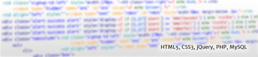 We use the latest web standards: HTML5, CSS3, jQuery, PHP, MySQL.